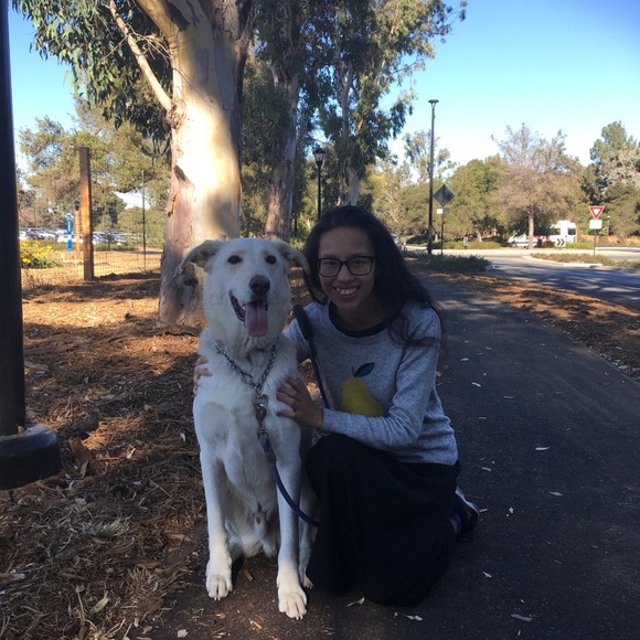 x cᴏᴍᴍᴇɴᴛs Fᴜʟʟ x - Picture 10 of 16